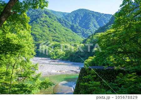 湯吹きの滝上流　湯檜曽川　真夏の風景　みなかみ町　　 105678829