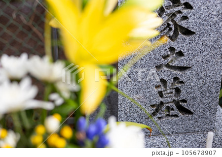 供花の飾ってあるお墓 供花の飾ってあるお墓 105678907