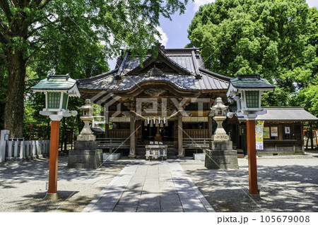 東京都　田無神社（たなしじんじゃ）　拝殿　五龍神のパワースポット 105679008