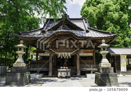 東京都　田無神社（たなしじんじゃ）　拝殿　五龍神のパワースポット 105679009