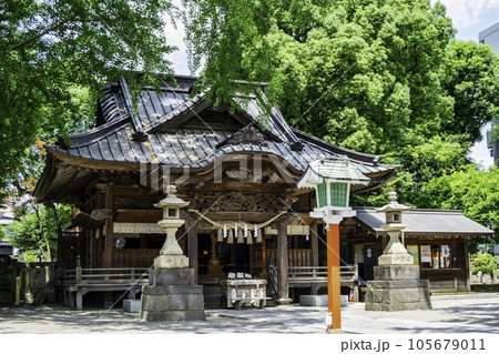 東京都　田無神社（たなしじんじゃ）　拝殿　五龍神のパワースポット 105679011