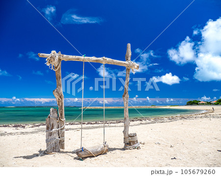 流木ブランコと海 流木ブランコと海 105679260