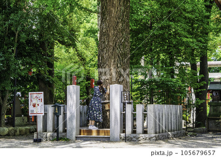 東京都 田無神社(たなしじんじゃ) ご神木 五龍神のパワースポット 東京都 田無神社(たなしじんじゃ) ご神木 五龍神のパワースポット 105679657