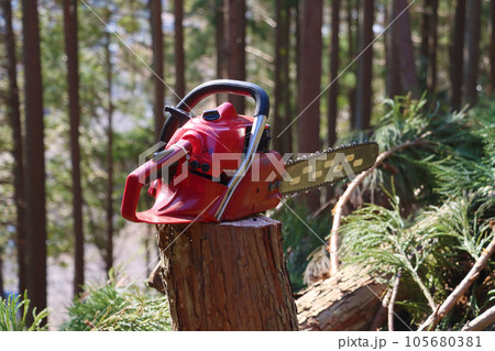 伐採されたスギの丸太 105680381