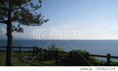 松の木と青空と青い海と水平線上に米山が見える風景 105681128