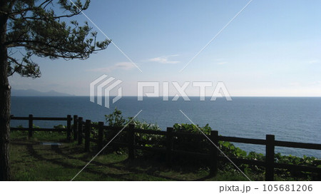 松の木と青空と青い海と水平線上に米山が見える風景 105681206