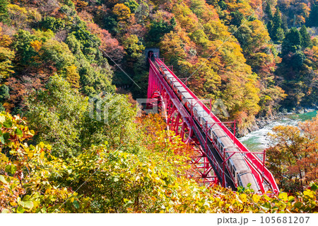 秋の黒部峡谷:新山彦橋を走るトロッコ電車 秋の黒部峡谷:新山彦橋を走るトロッコ電車 105681207