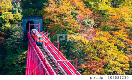 秋の黒部峡谷：新山彦橋を走るトロッコ電車 105681250