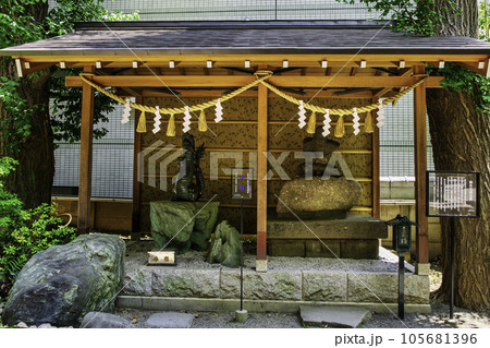 東京都 田無神社(たなしじんじゃ) 青龍神・楠木正成像 五龍神のパワースポット 東京都 田無神社(たなしじんじゃ) 青龍神・楠木正成像 五龍神のパワースポット 105681396