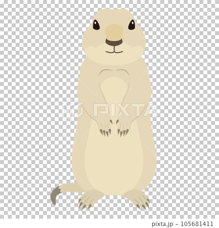 プレーリードッグのイラスト 105681411