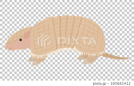 アルマジロのイラスト 105681412