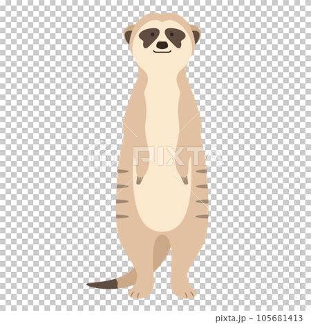 meerkat illustration 105681413