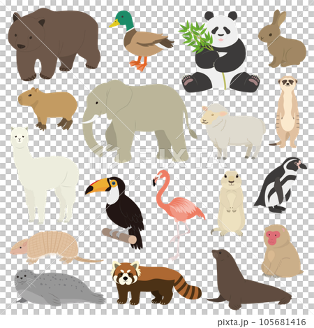 動物插圖集 105681416