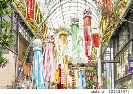 夏の仙台 仙台七夕まつり2023 宮城県仙台市 夏の仙台 仙台七夕まつり2023 宮城県仙台市 105682975