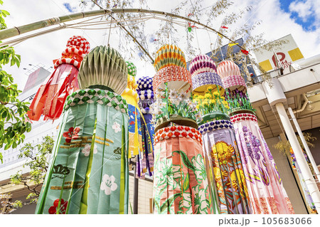 夏の仙台　仙台七夕まつり2023　宮城県仙台市 105683066