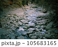 渓谷の中を岩場を流れる清流 105683165