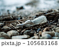 海辺に落ちているゴミ 105683168