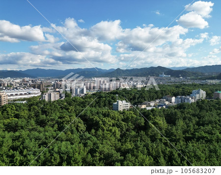 【ドローン】夏の雲と防風林の向こうに見える福岡の街並み 105683207