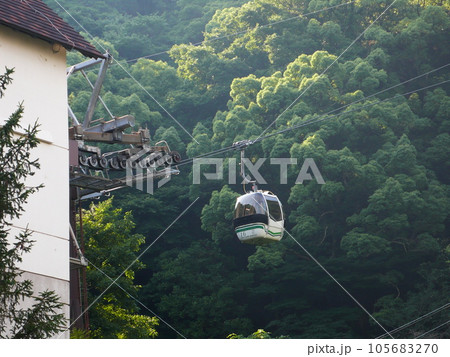 兵庫 兵庫県 神戸市街 105683270