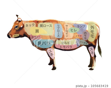 牛の部位図（文字入り） 105683419