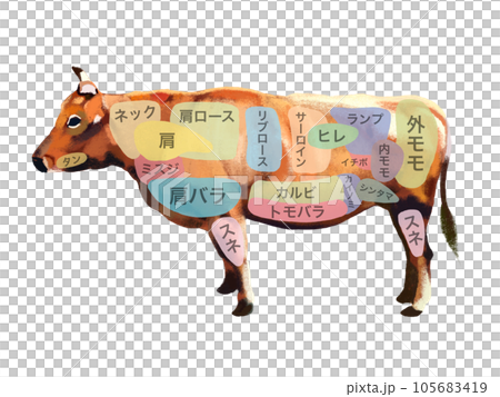 牛の部位図（文字入り） 105683419