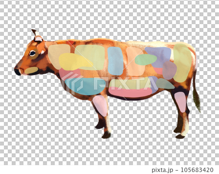 Cattle part diagram (no letters) Cattle part diagram (no letters) 105683420