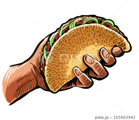 Hand holding taco. Man eating hot dog. Hand-drawn ink on paper and hand colored on tablet 105683942