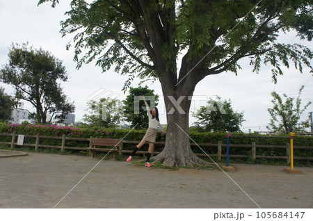 公園の木の下で遊ぶ健康的な長身美女 105684147