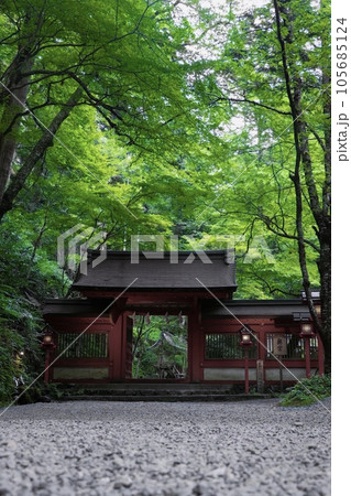 新緑に包まれた、京都府京都市にある貴船神社 105685124