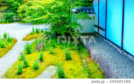 京都、蘆山寺の源氏庭 京都、蘆山寺の源氏庭 105685360