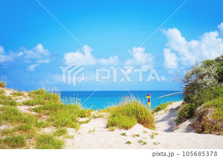 南国の美しいビーチと紺碧の空 105685378