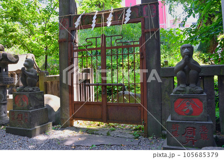 小野照崎神社の富士塚 下谷坂本富士(東京都台東区下谷) 小野照崎神社の富士塚 下谷坂本富士(東京都台東区下谷) 105685379
