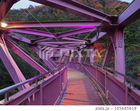 加賀温泉郷　ライトアップされたあやとりはし 105685619