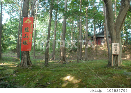韮山城 権現曲輪跡(静岡県伊豆の国市) 韮山城 権現曲輪跡(静岡県伊豆の国市) 105685792