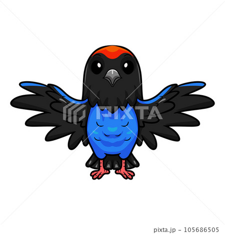 Cute blue manakin bird cartoon flying Cute blue manakin bird cartoon flying 105686505