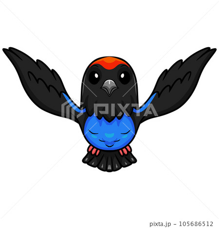 Cute blue manakin bird cartoon 105686512
