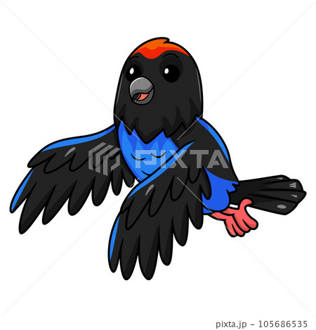 Cute blue manakin bird cartoonのイラスト素材 [105686535] - PIXTA