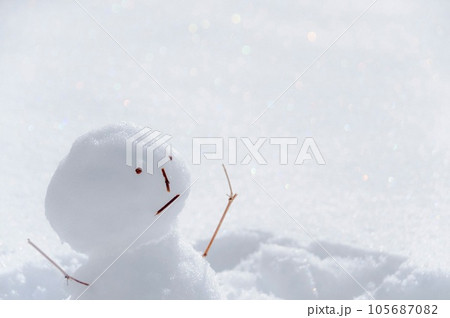 雪原の雪だるま 雪原の雪だるま 105687082