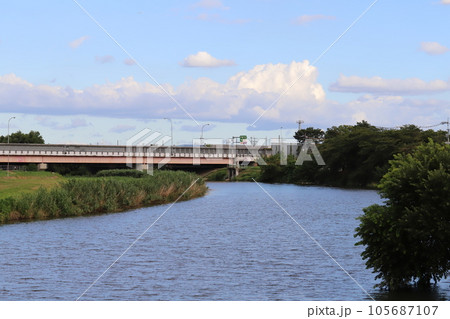 夏の埼玉県蓮田市付近を流れる元荒川の景色 105687107