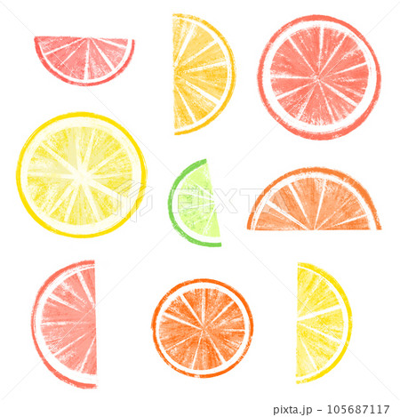 Slices of various citruses on white Slices of various citruses on white 105687117