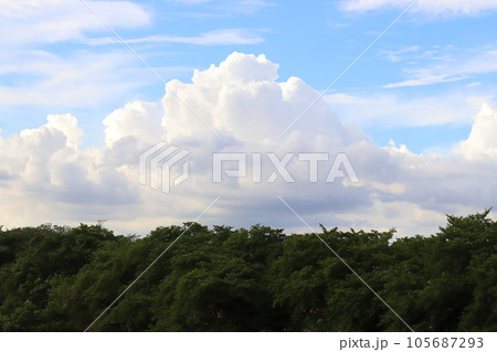 夏の森と入道雲の景色 105687293
