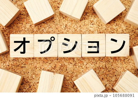 オプション 木製キューブのビジネス用語素材 オプション 木製キューブのビジネス用語素材 105688091