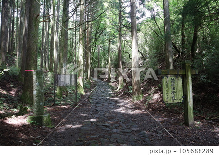 箱根旧街道石畳 箱根旧街道石畳 105688289