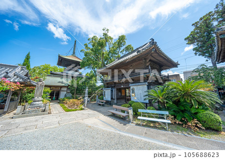 【第十九番札所】立江寺　境内【四国八十八箇所】 105688623