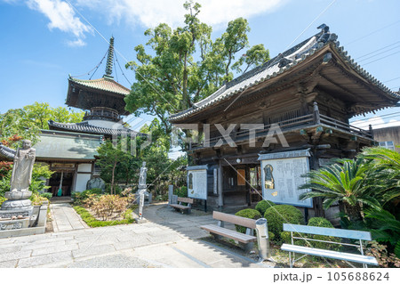 【第十九番札所】立江寺　境内【四国八十八箇所】 105688624