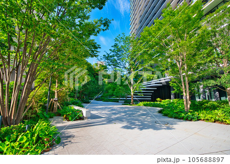 東京 東京都再開発 複合施設の虎ノ門ヒルズ森タワーなど超高層ビルの風景 東京 東京都再開発 複合施設の虎ノ門ヒルズ森タワーなど超高層ビルの風景 105688897