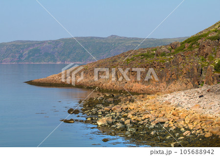 coast of the Barents Sea big round stones 105688942