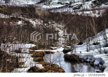 Mountain tundra of Lapland in spring. Snow-covered expanse and birch elfin Mountain tundra of Lapland in spring. Snow-covered expanse and birch elfin 105689090