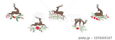 Young Brown Deer with Antlers and Winter Twigs Vector Set 105689187