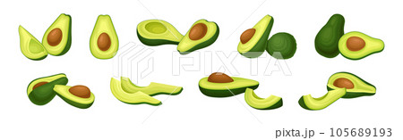 Avocado or Alligator Pear as Large Edible Berry with Seed Vector Set 105689193